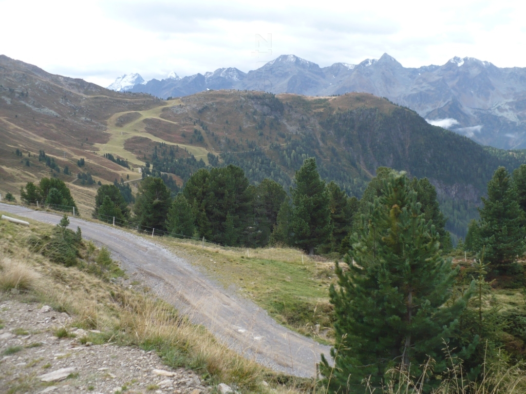 Images/2 Oesterreich_Pitztal_ (95).jpg